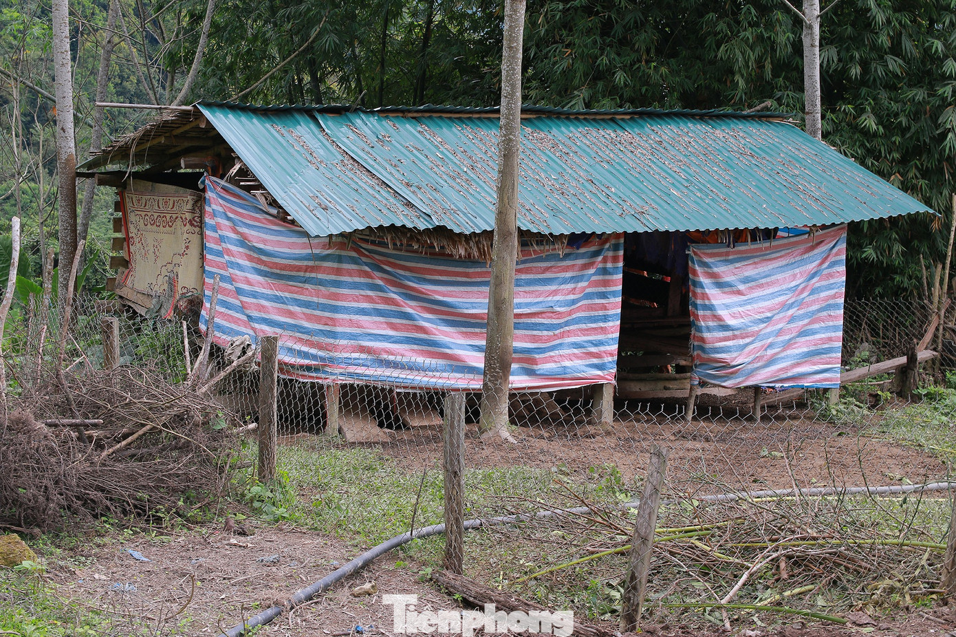 Rét run cầm cập, người dân vùng cao đắp chăn sưởi ấm cho gia súc ảnh 9