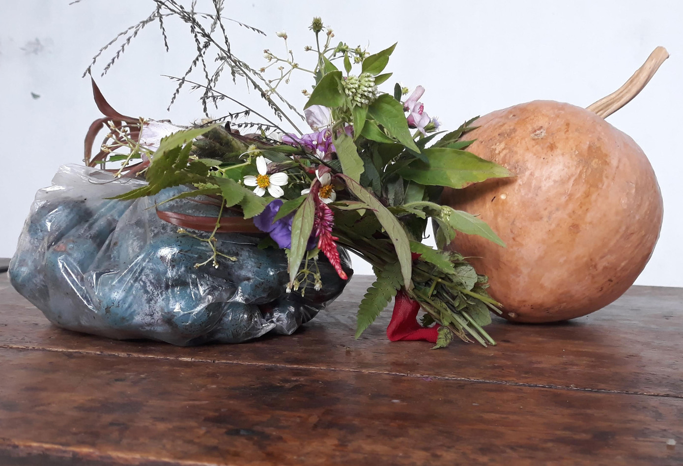 Xúc động học sinh mang hoa rừng, trái dại tặng thầy cô ngày lễ ảnh 6