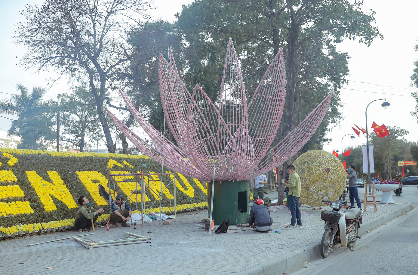 Rực rỡ sắc hoa trên phố đi bộ thành Vinh ngày giáp Tết ảnh 4