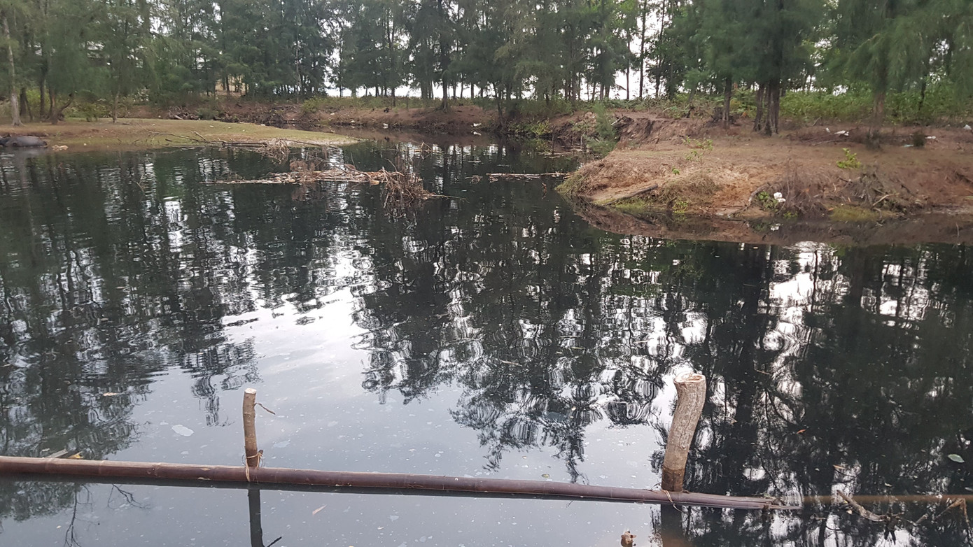 Hồ nuôi tôm xả nước thải đen ngòm đổ thẳng ra bãi biển Đông Hồi ảnh 4