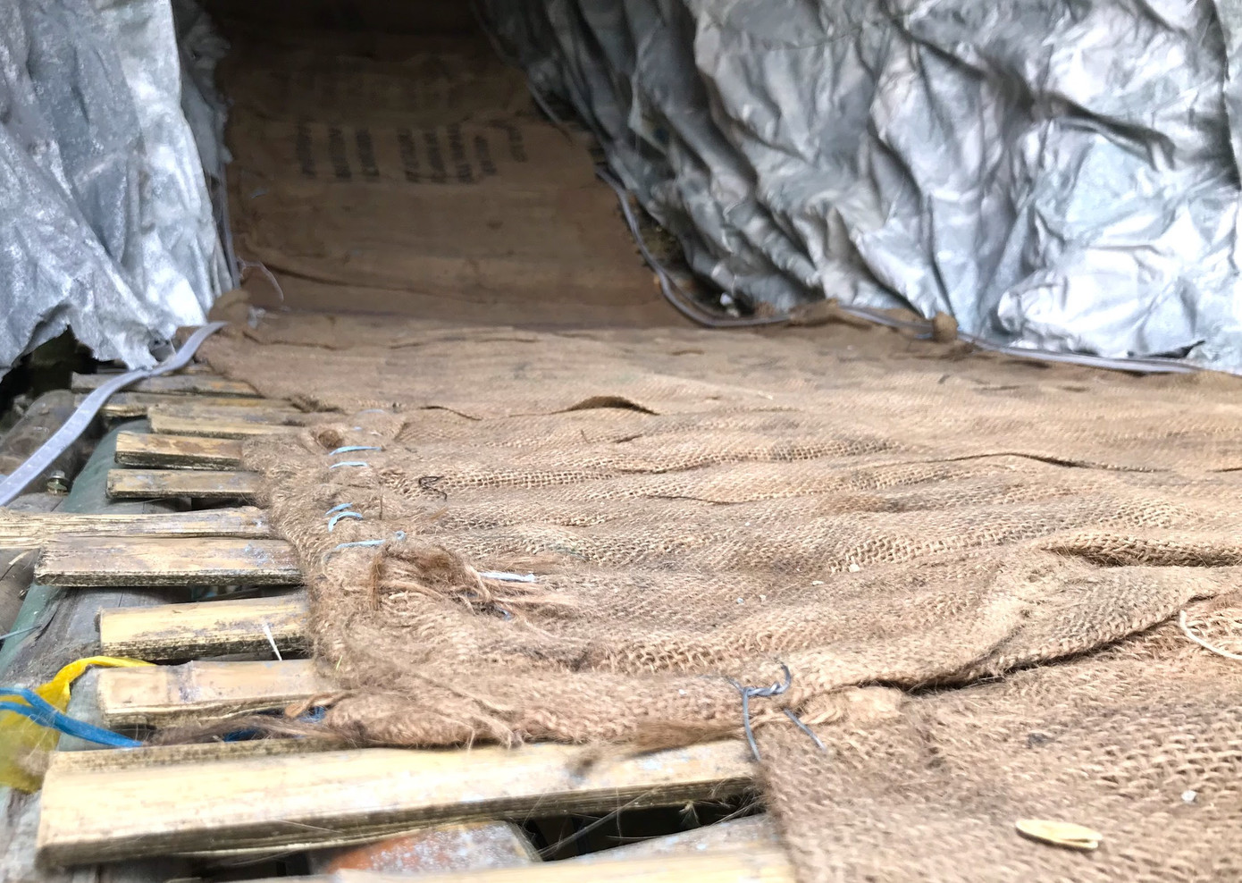 Lung linh hang đá Noel khổng lồ ở Nghệ An cao hơn tòa nhà 3 tầng ảnh 11