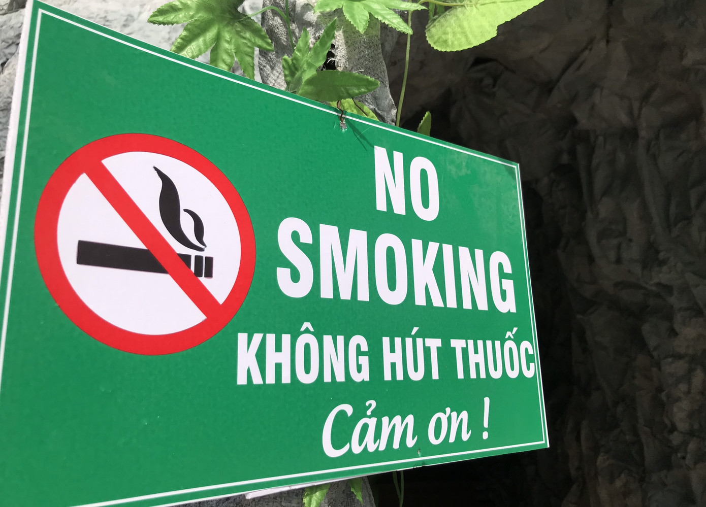 Lung linh hang đá Noel khổng lồ ở Nghệ An cao hơn tòa nhà 3 tầng ảnh 13