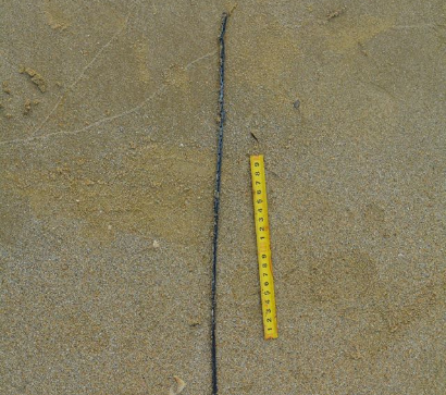 Tìm danh tính người đàn ông cổ đeo dây kim loại chết trên biển ảnh 2