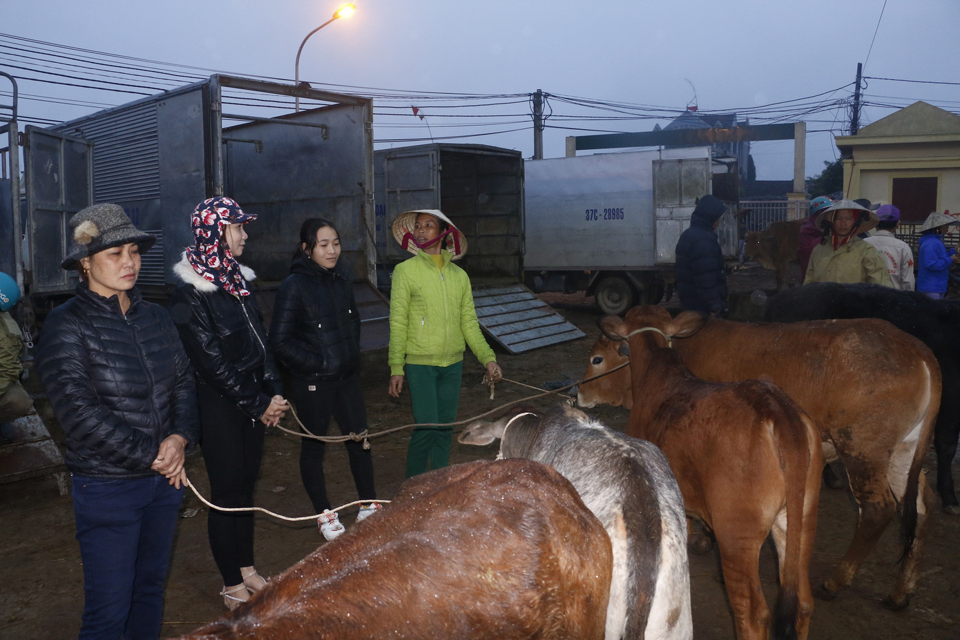 ‘Tất niên’ phiên chợ trâu bò lớn nhất Bắc Trung Bộ ảnh 2