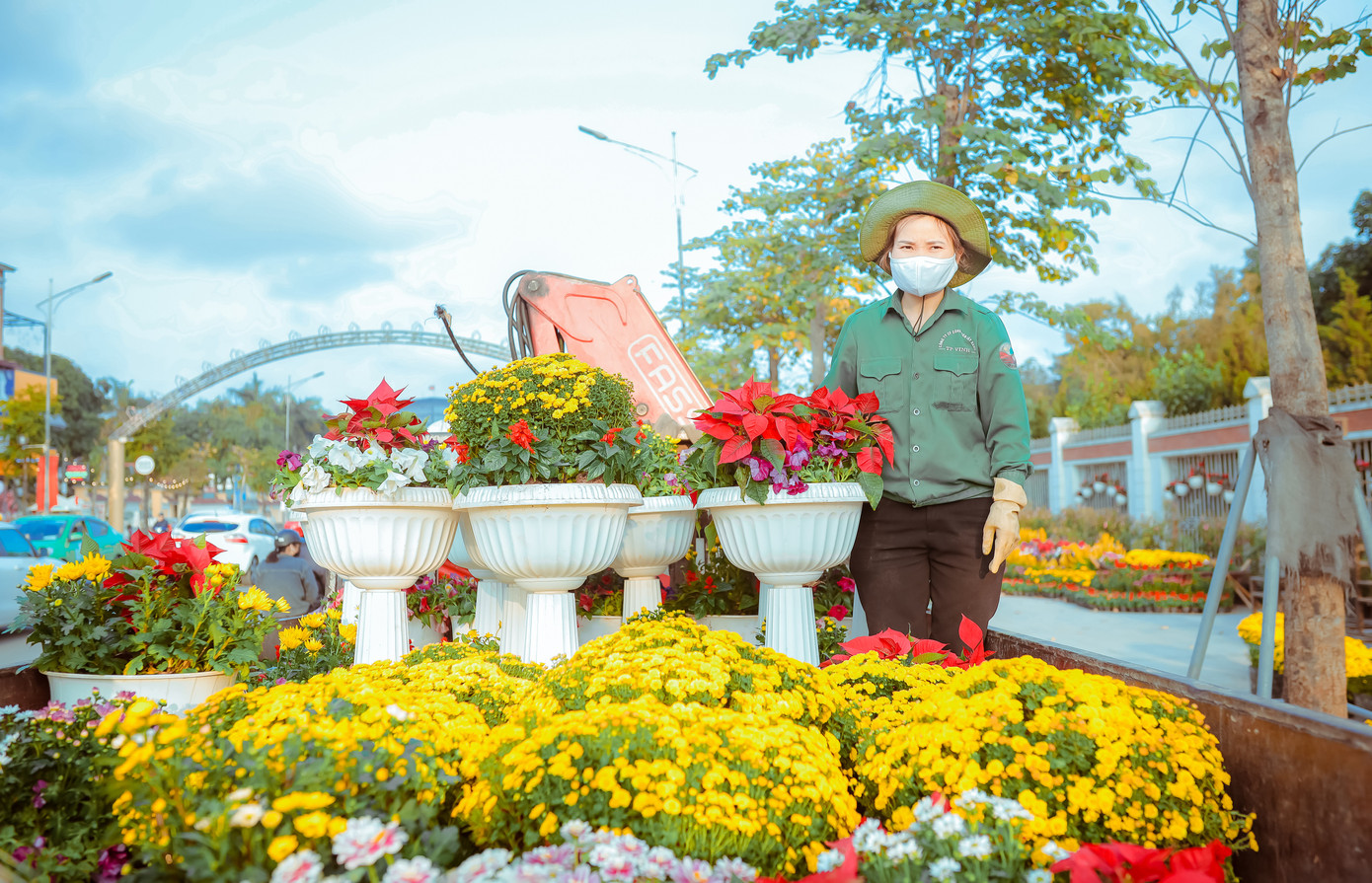 Rực rỡ sắc hoa trên phố đi bộ thành Vinh ngày giáp Tết ảnh 3