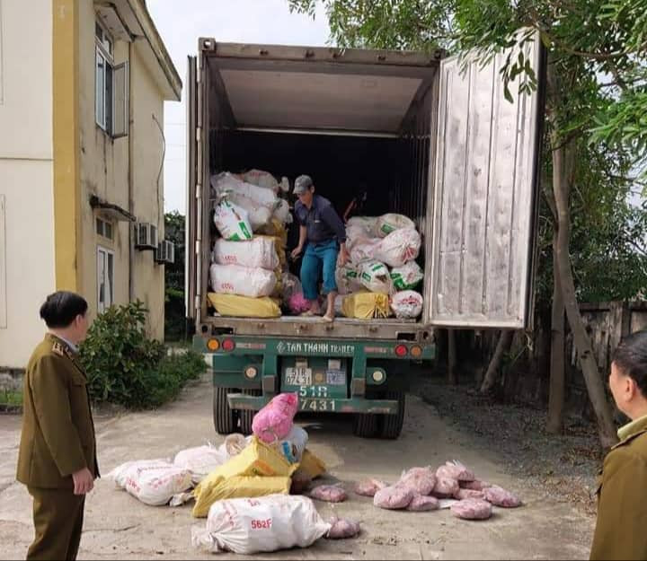 Bắt giữ hơn 10 tấn nội tạng bốc mùi trên xe container từ TPHCM ra Quảng Ninh ảnh 1