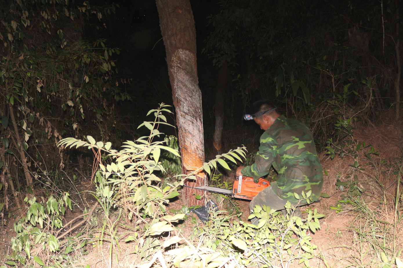 Trắng đêm cắt đường băng ngăn lửa “nuốt” rừng ảnh 8