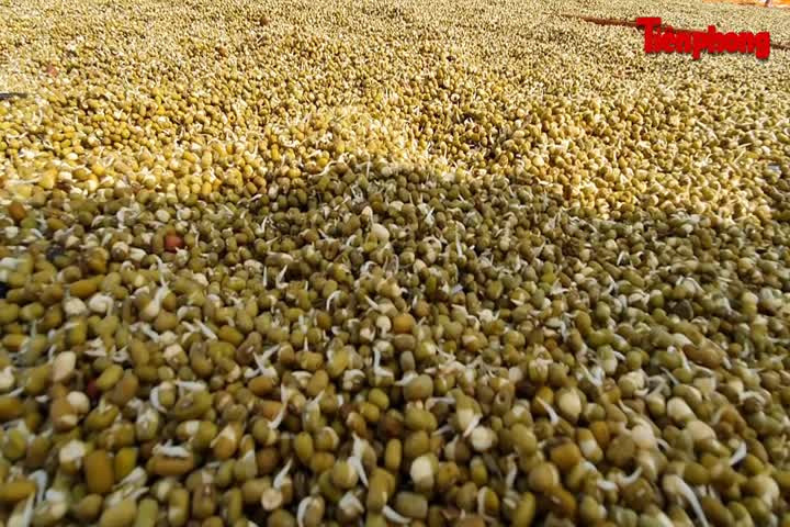 Tiểu thương chợ Vinh ngấn lệ nhìn hàng hóa bị lũ nhấn chìm ảnh 4