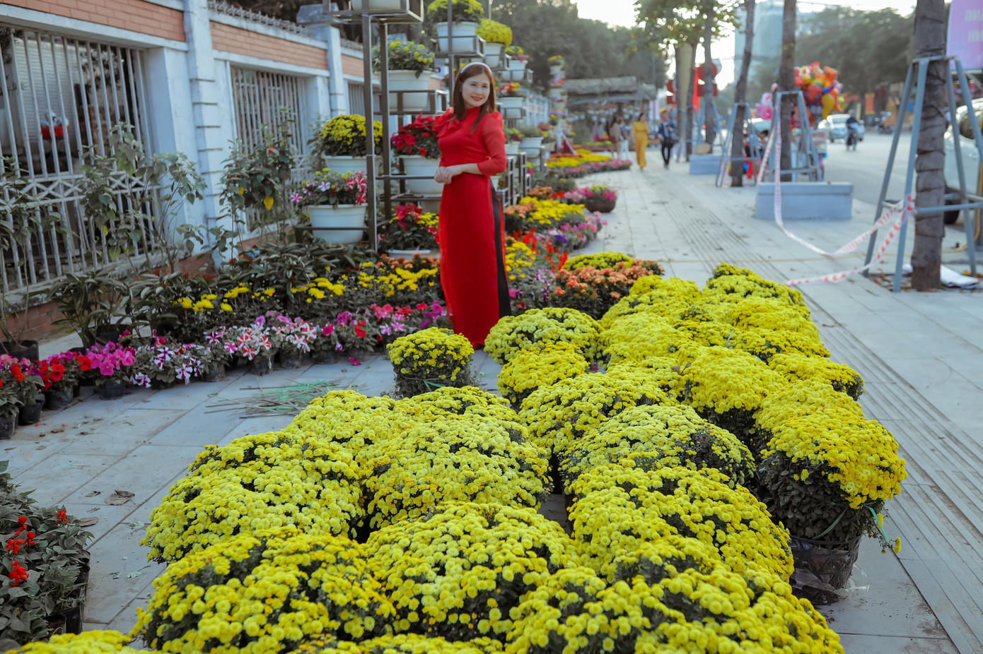 Rực rỡ sắc hoa trên phố đi bộ thành Vinh ngày giáp Tết ảnh 9