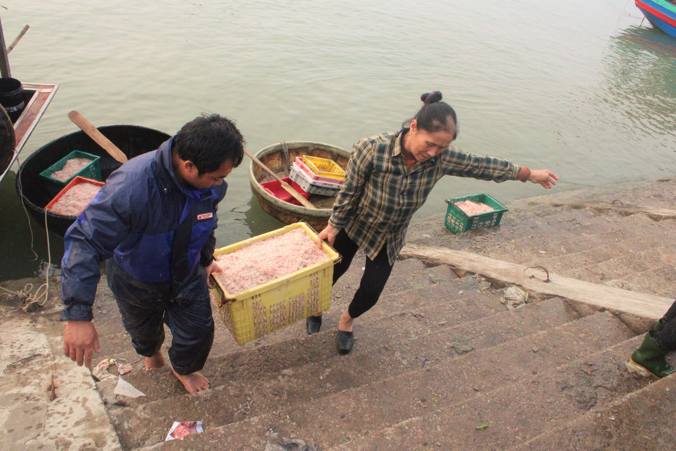 Ngư dân Hà Tĩnh hốt 'lộc trời' đầu năm, kiếm tiền triệu sau vài giờ ra khơi ảnh 2