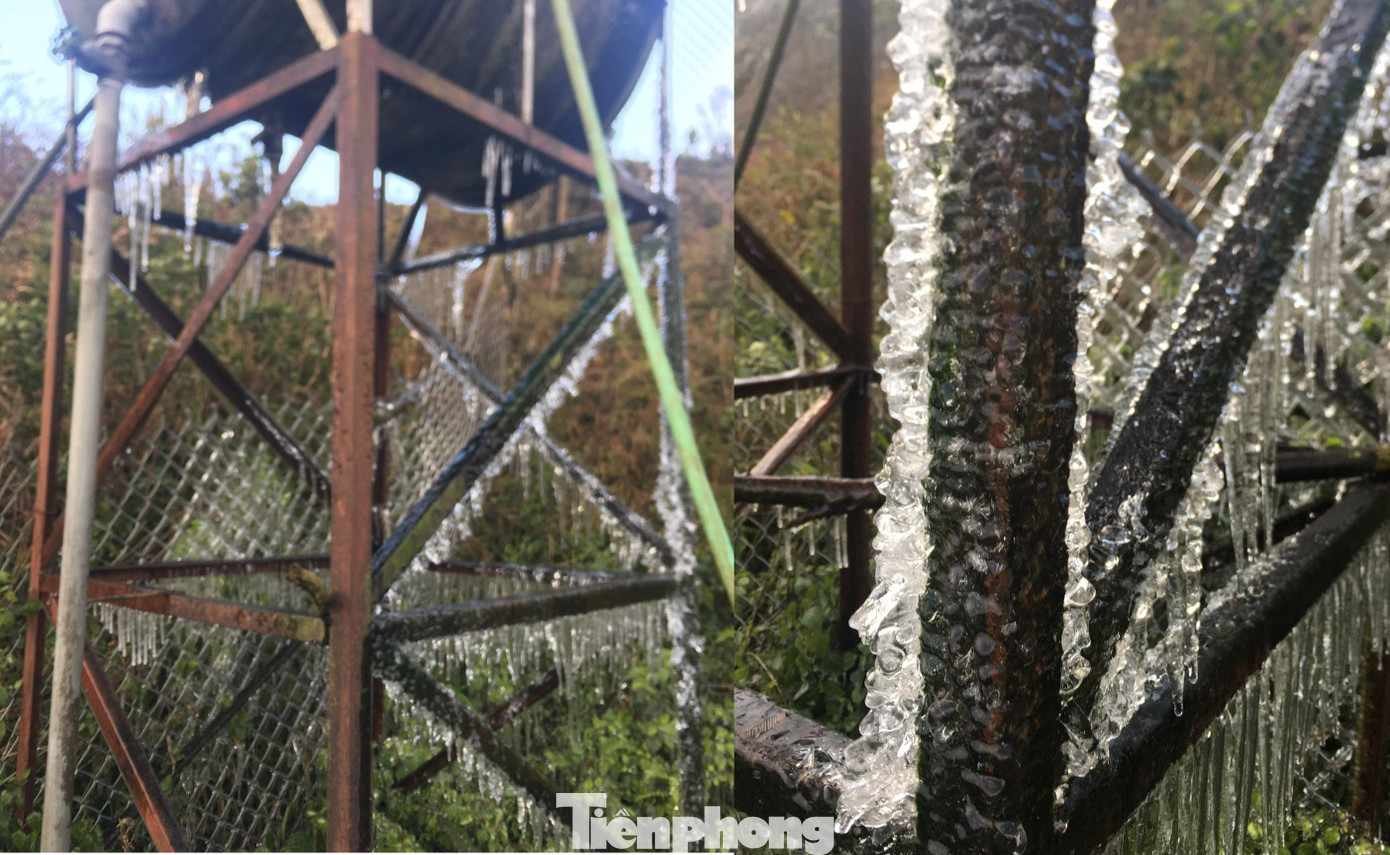 Băng giá phủ trắng xóa rừng cây ngọn cỏ ở miền núi Nghệ An ảnh 8