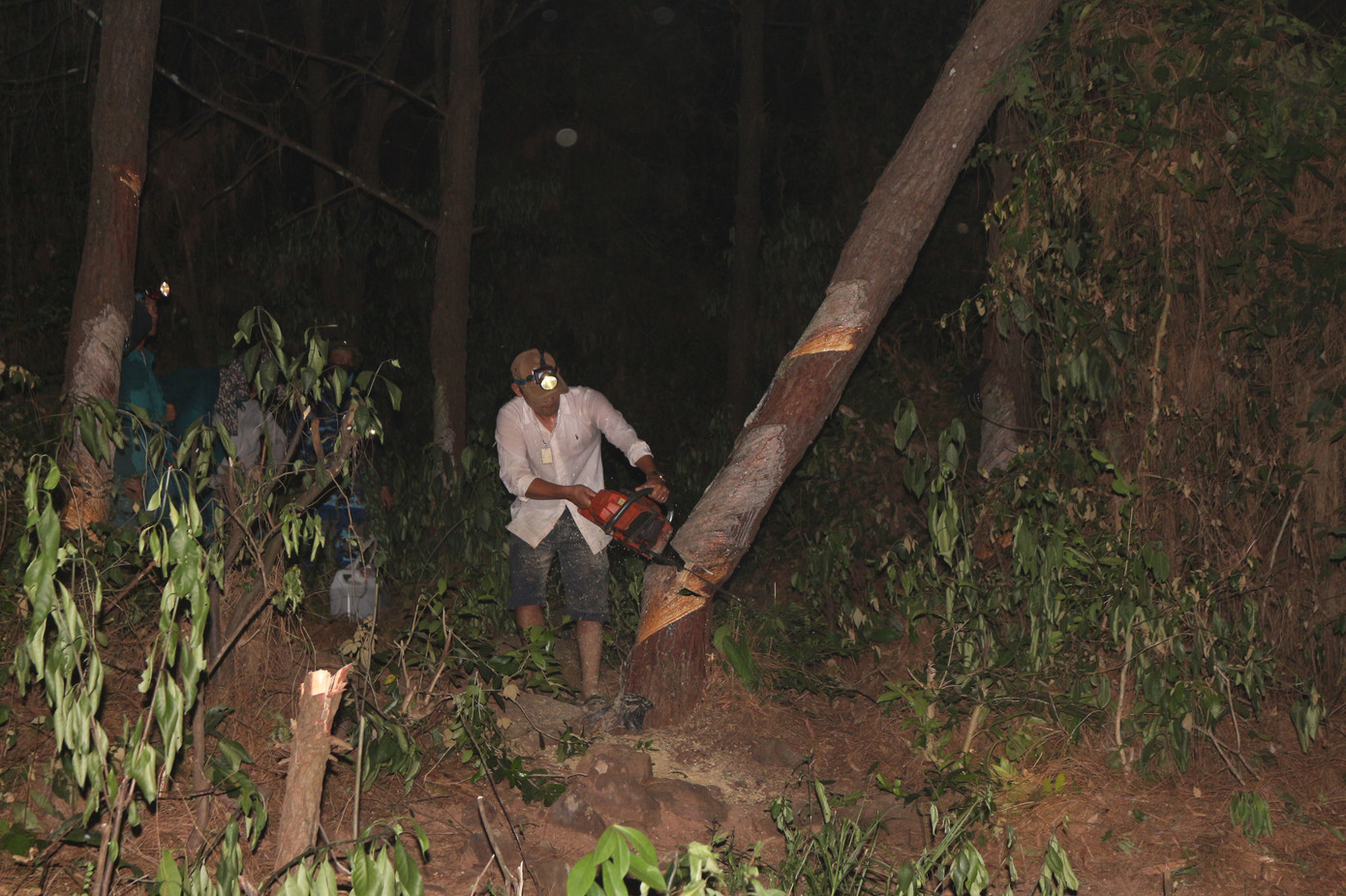 Trắng đêm cắt đường băng ngăn lửa “nuốt” rừng ảnh 12