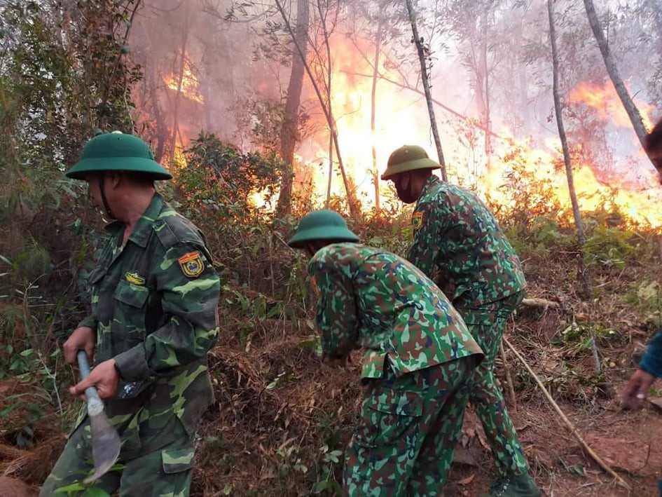 Nghệ An: Rừng cháy hừng hực, hàng nghìn người dập lửa ảnh 2