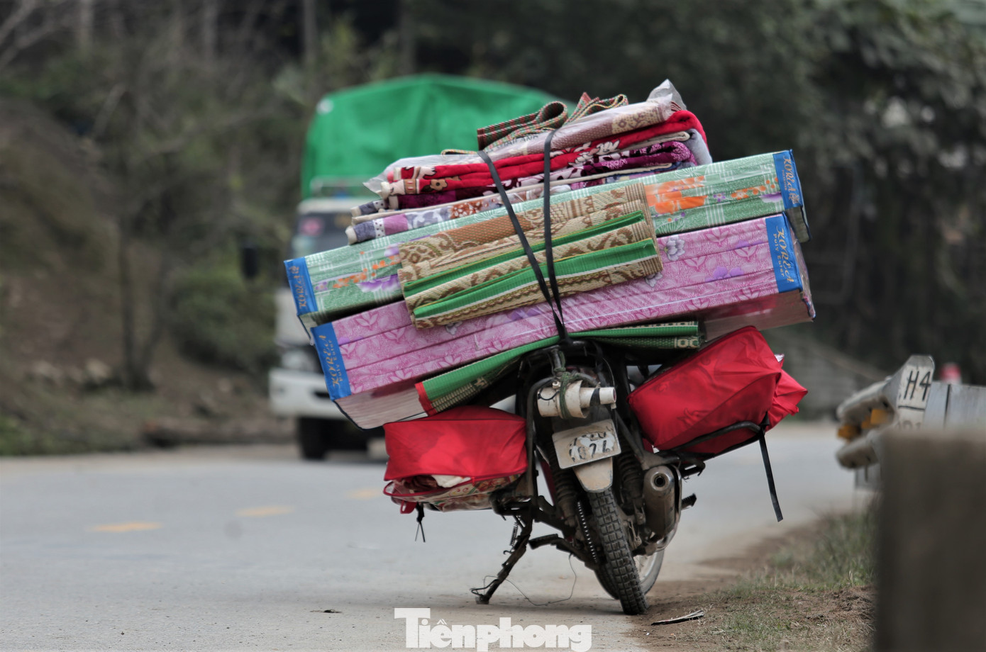 Rét run cầm cập, người dân vùng cao đắp chăn sưởi ấm cho gia súc ảnh 13