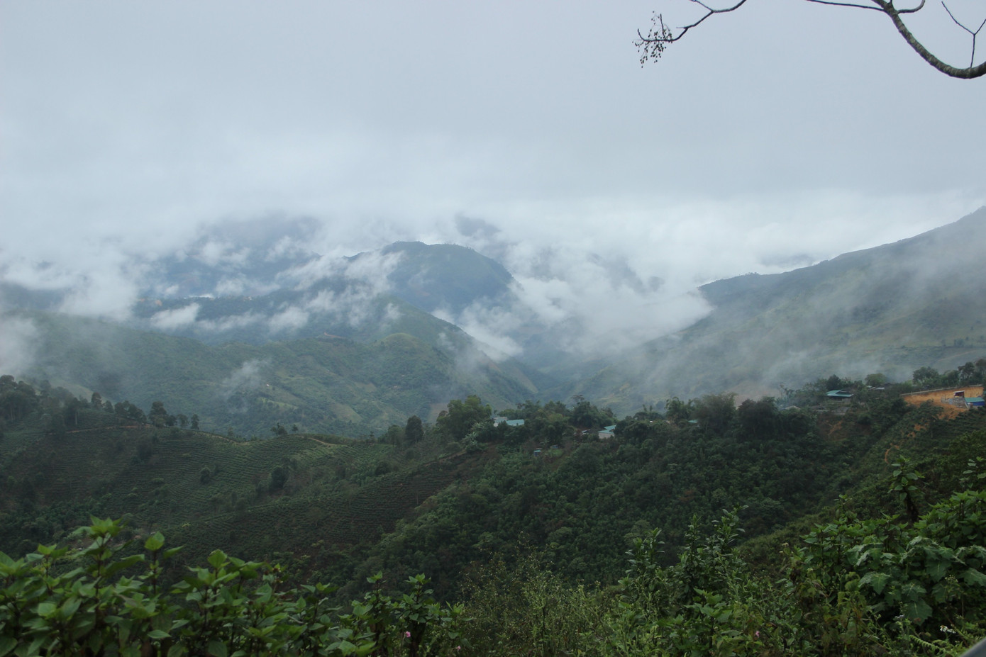 Người dân vùng núi co ro đốt lửa chống rét ảnh 2