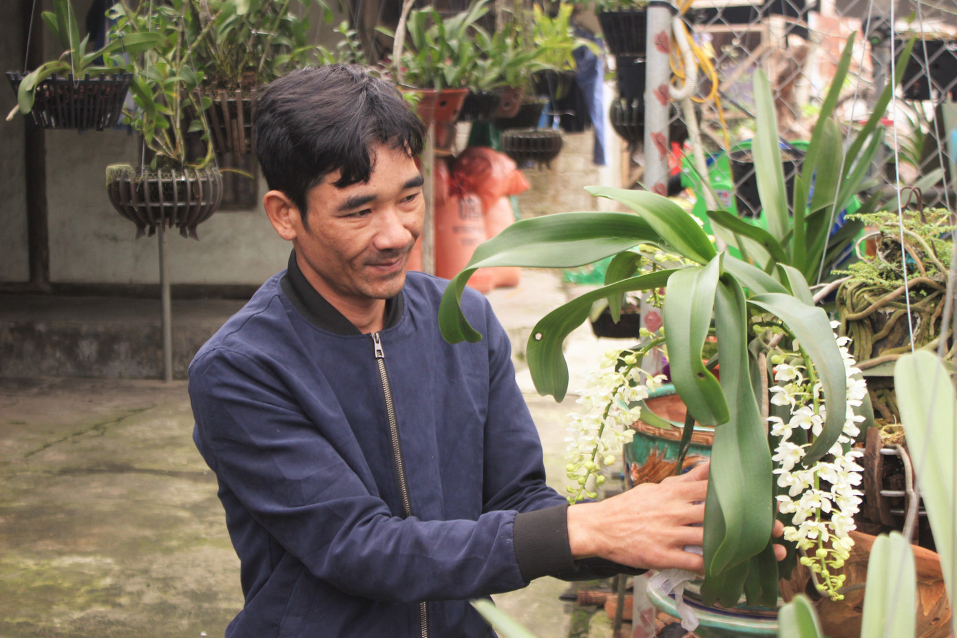 Đã mắt ngắm vườn lan bạc tỷ của chàng cử nhân công nghệ thông tin ảnh 2