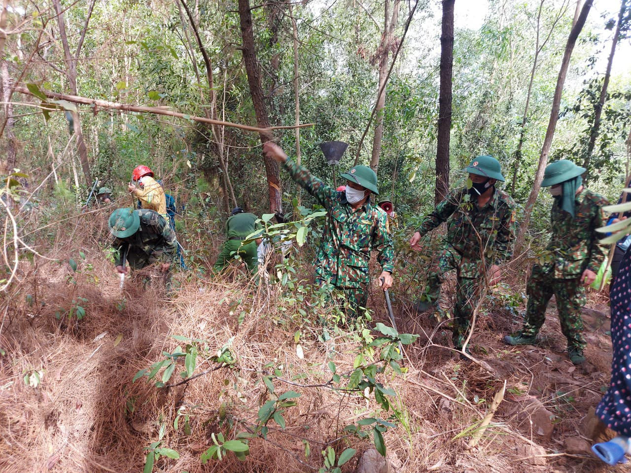Hơn 300 người đội nắng ngăn 'thần lửa nuốt rừng' ảnh 5