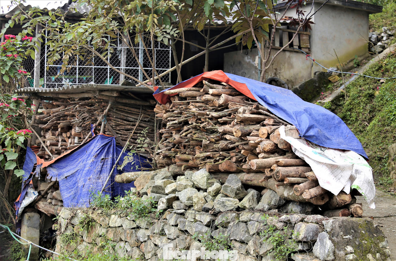 Rét run cầm cập, người dân vùng cao đắp chăn sưởi ấm cho gia súc ảnh 7