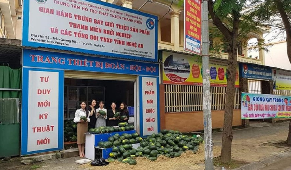 Tuổi trẻ Nghệ An chung tay 'giải cứu' hàng chục tấn dưa hấu ảnh 7