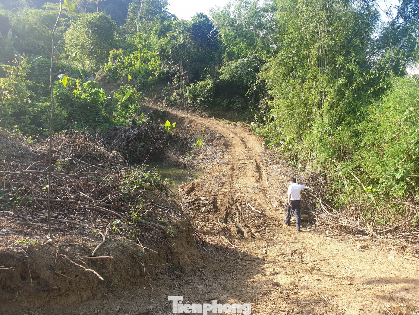 Khởi tố, bắt tạm giam hai cán bộ bán rừng phòng hộ ảnh 1