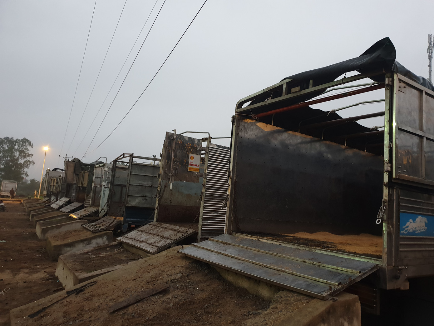 ‘Tất niên’ phiên chợ trâu bò lớn nhất Bắc Trung Bộ ảnh 8