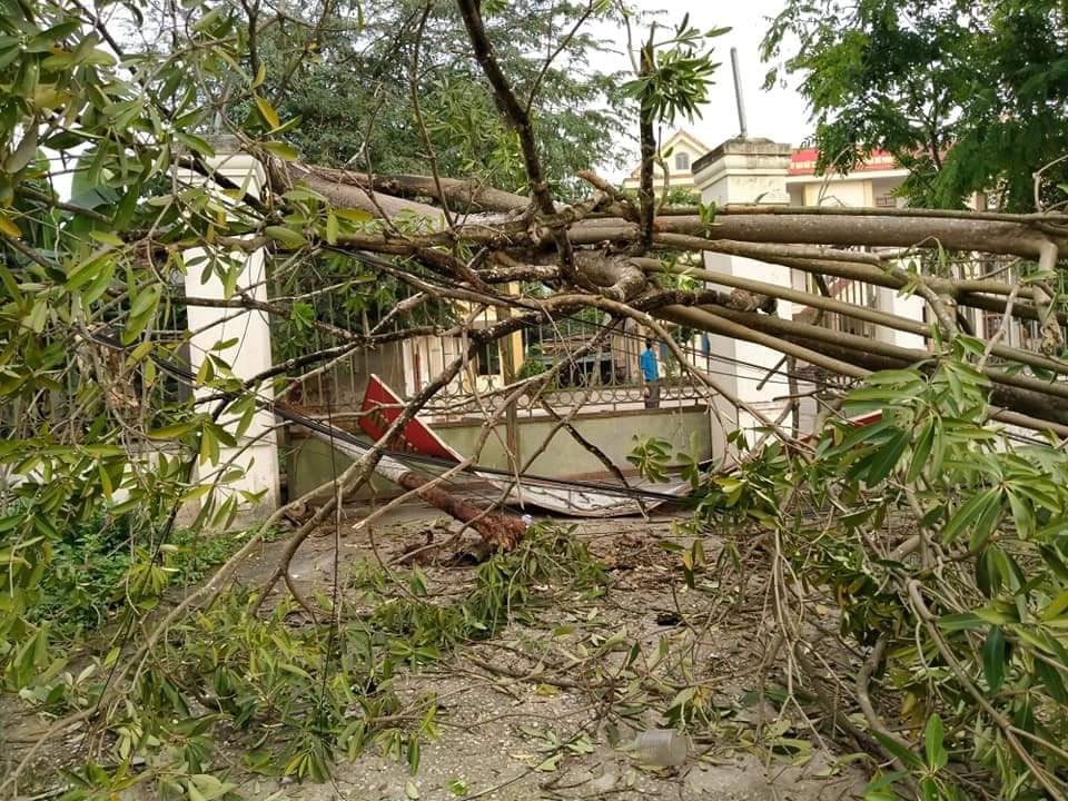 Lốc xoáy cuốn sập nhà, người dân biên giới sống cảnh ‘màn trời chiếu đất’ ảnh 5