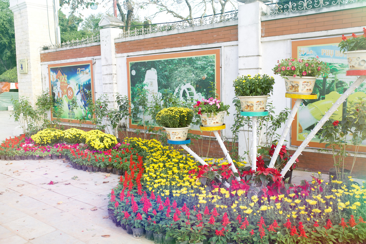Rực rỡ sắc hoa trên phố đi bộ thành Vinh ngày giáp Tết ảnh 12
