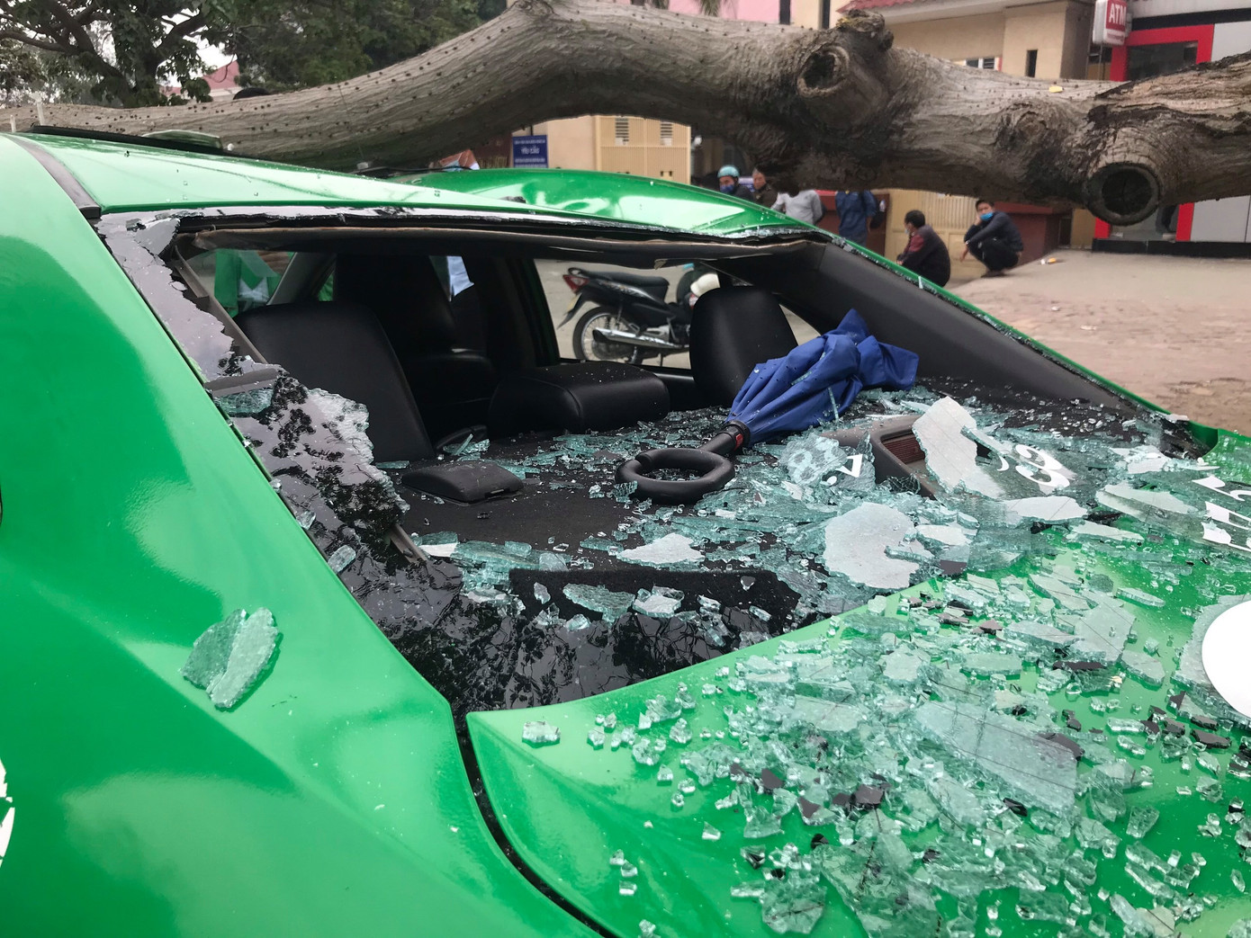 Kinh hoàng cành cây bất ngờ đè bẹp dúm taxi ảnh 5