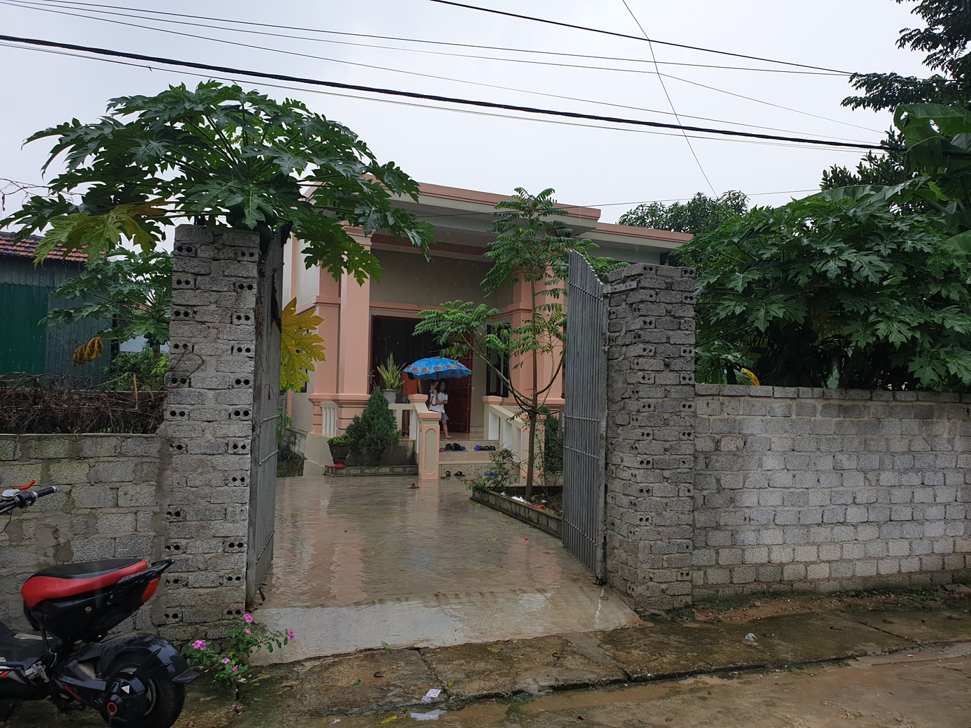 Nghệ An ban hành văn bản hỏa tốc xử lý thông tin 39 người chết ở Anh ảnh 1