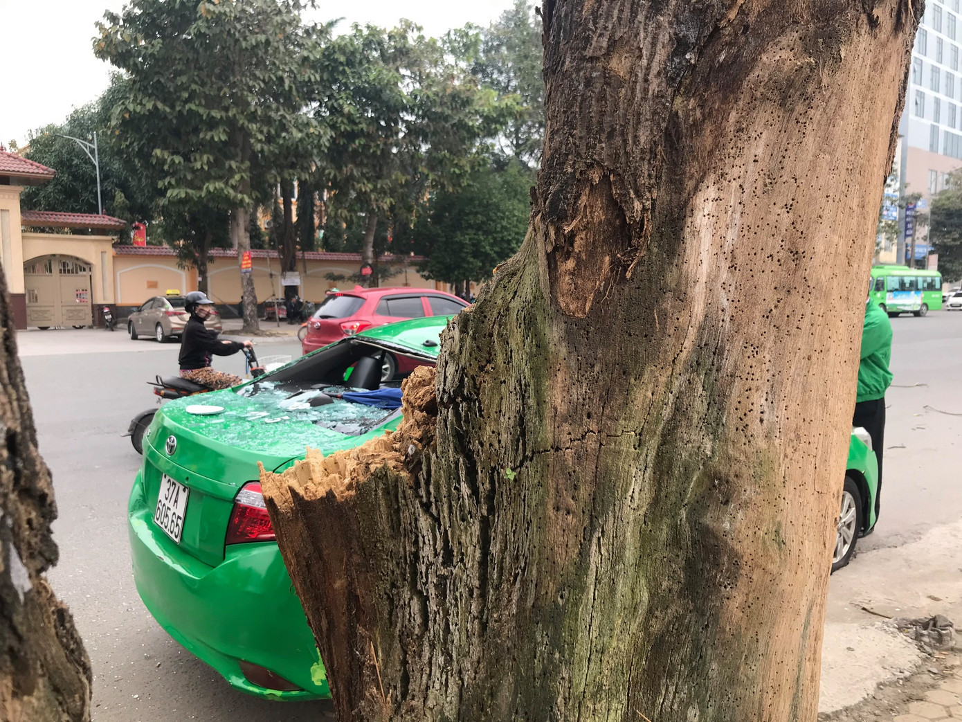 Kinh hoàng cành cây bất ngờ đè bẹp dúm taxi ảnh 7