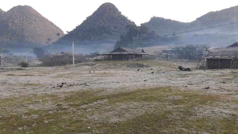 Băng giá phủ kín rừng cây bãi cỏ ở huyện biên giới Nghệ An ảnh 8