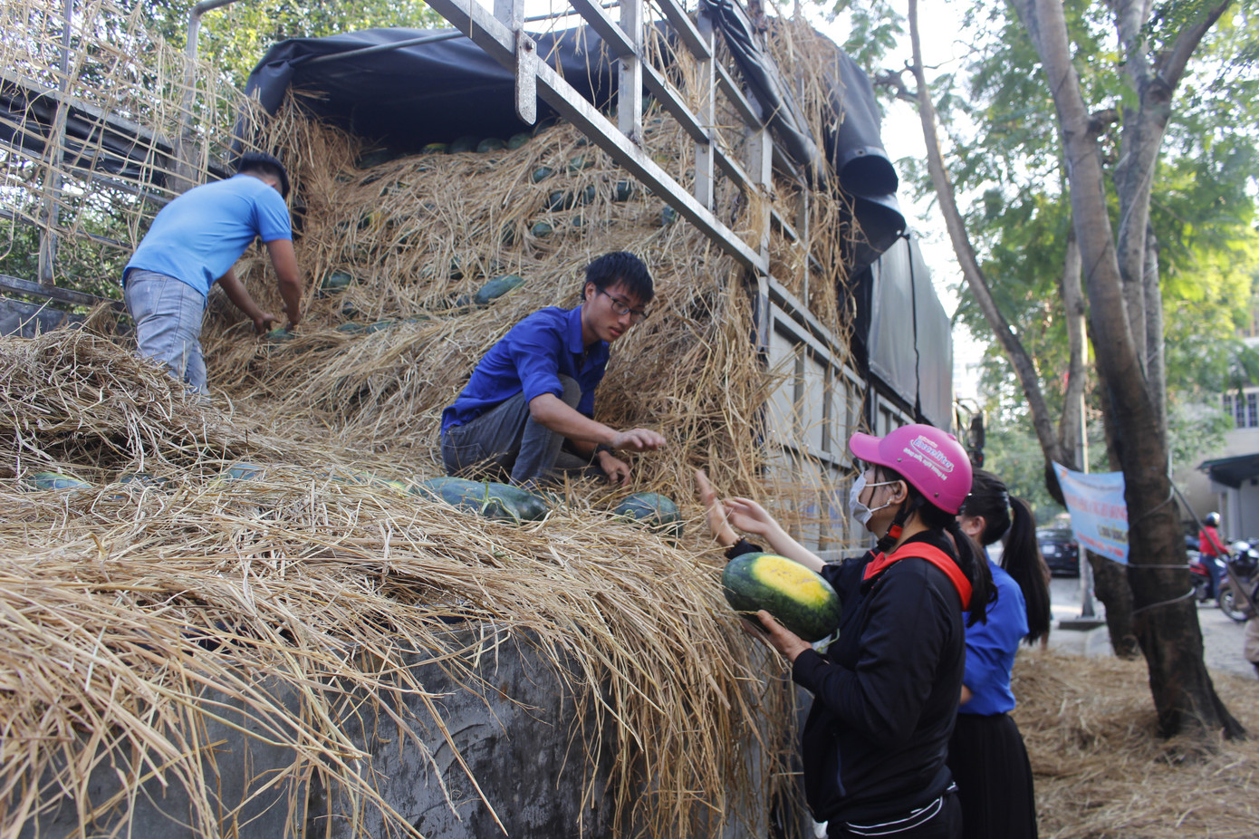 Tuổi trẻ Nghệ An chung tay 'giải cứu' hàng chục tấn dưa hấu ảnh 4