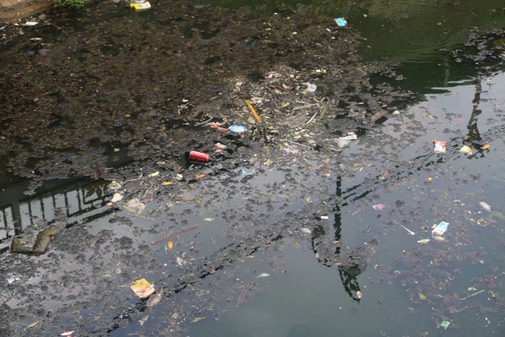 Ô nhiễm nghiêm trọng tại di tích hào Thành cổ Vinh ảnh 3