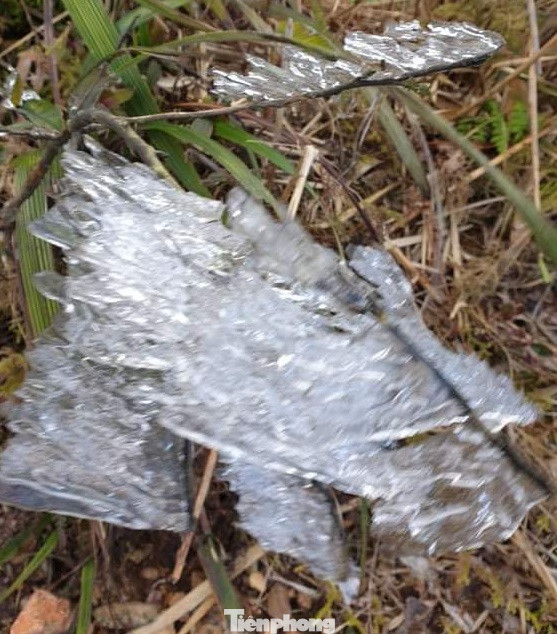 Băng giá phủ trắng xóa rừng cây ngọn cỏ ở miền núi Nghệ An ảnh 4