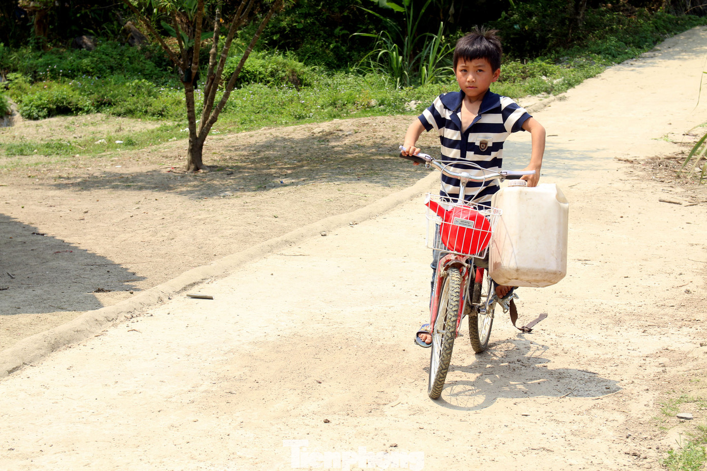 Hạn hán nghiêm trọng, học trò biên giới tan trường lại lặn lội vào rừng tìm nước ảnh 4