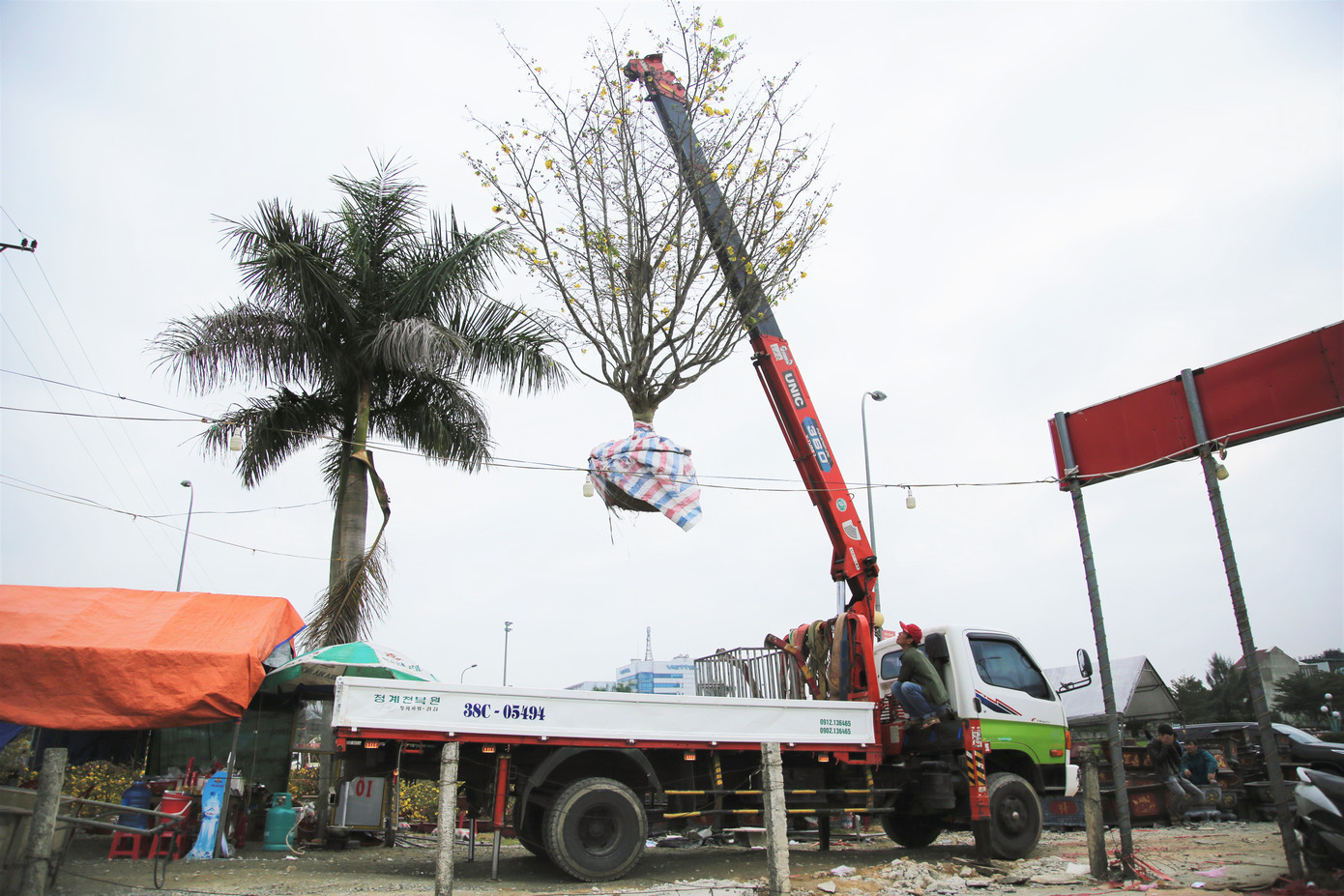 'Cụ mai 'xuống phố được trả giá trăm triệu đồng ở Hà Tĩnh ảnh 2