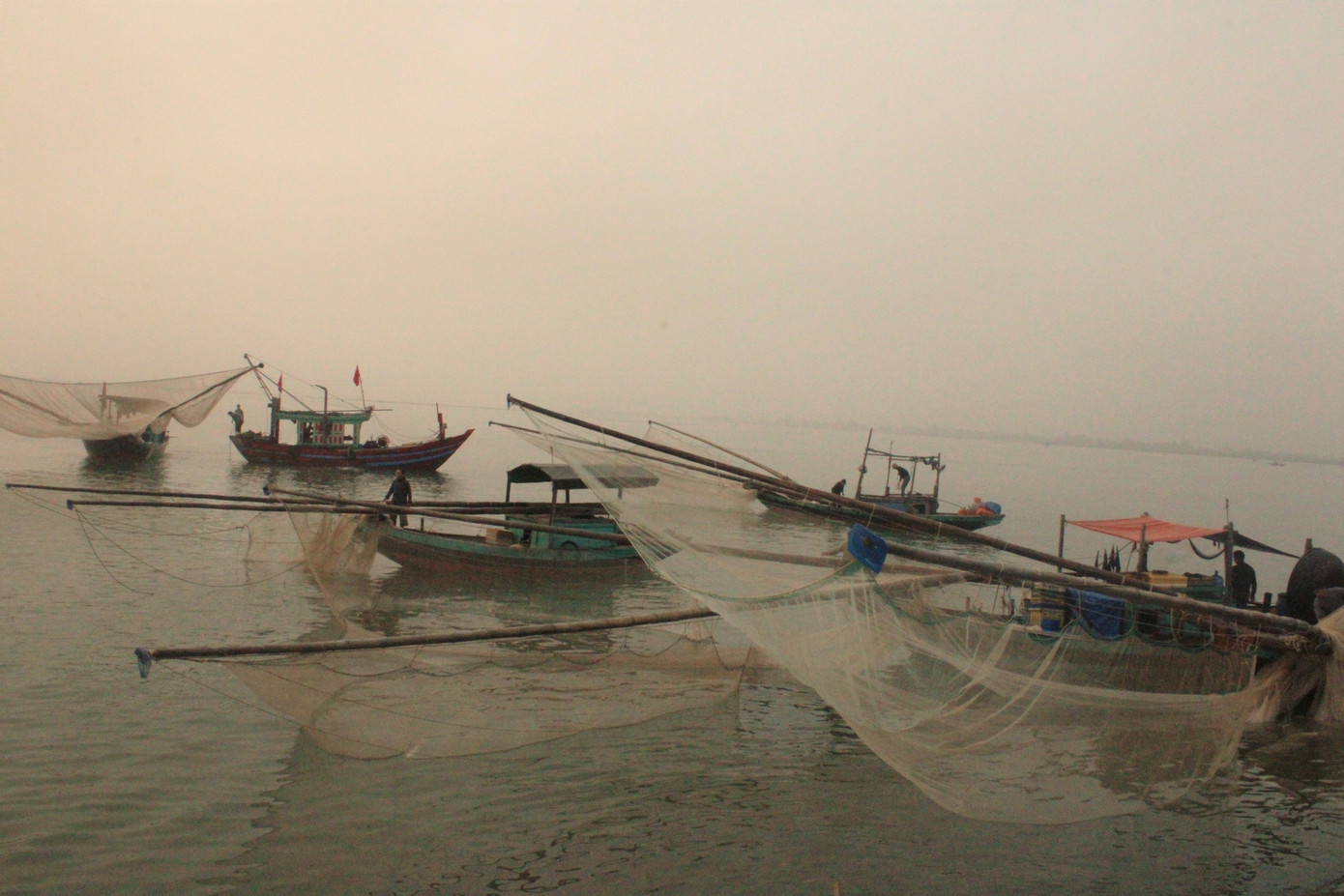 Ngư dân Hà Tĩnh hốt 'lộc trời' đầu năm, kiếm tiền triệu sau vài giờ ra khơi ảnh 8