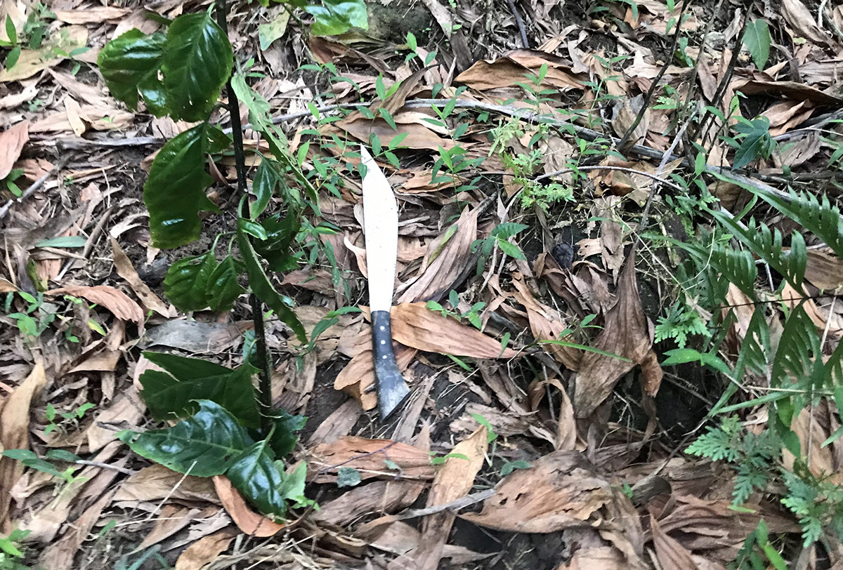 Cảnh sát tung quân vây rừng truy tìm nhóm sát hại thượng úy công an ảnh 1