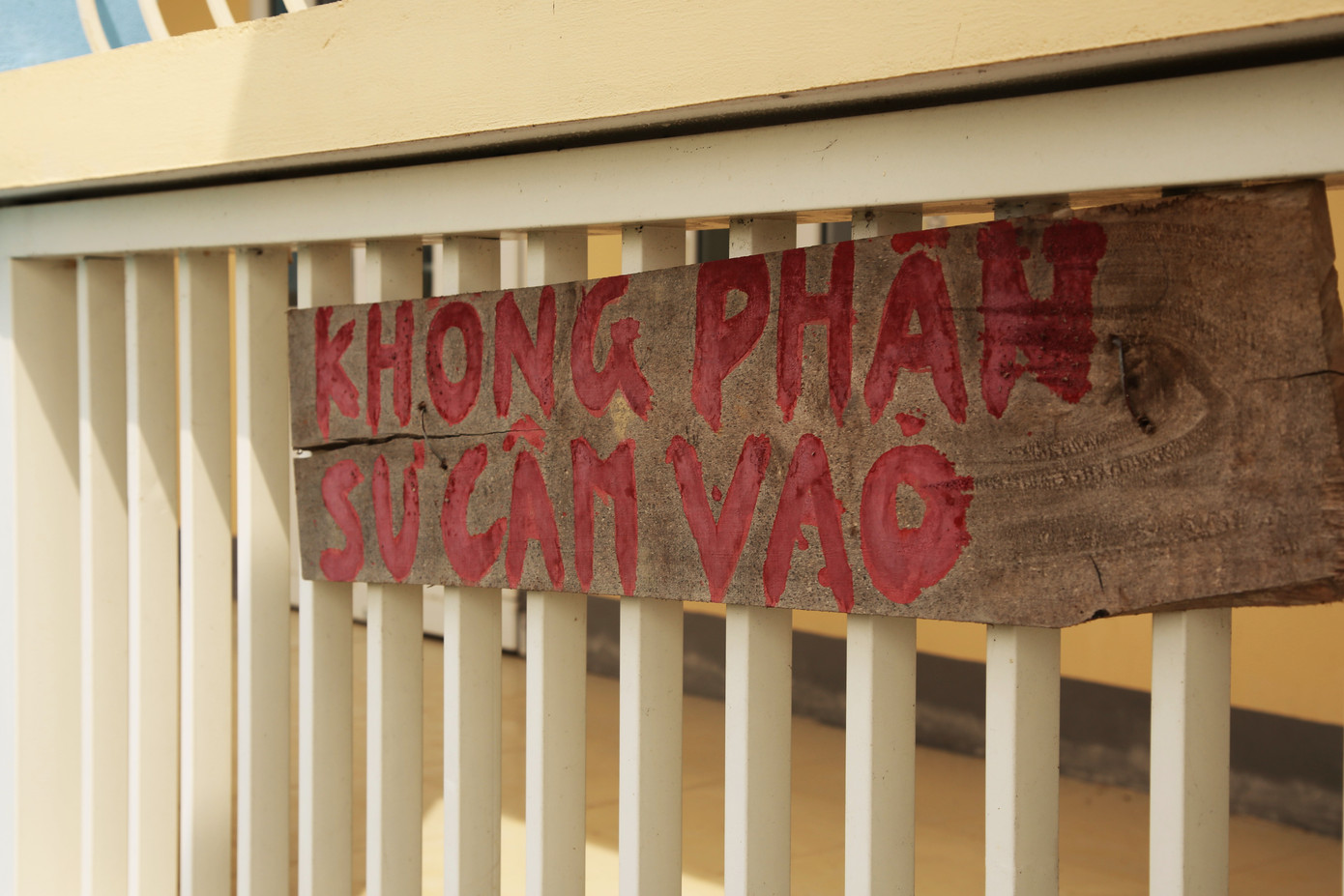 Trường học tiền tỷ xây xong bỏ hoang giữa cánh đồng ảnh 4