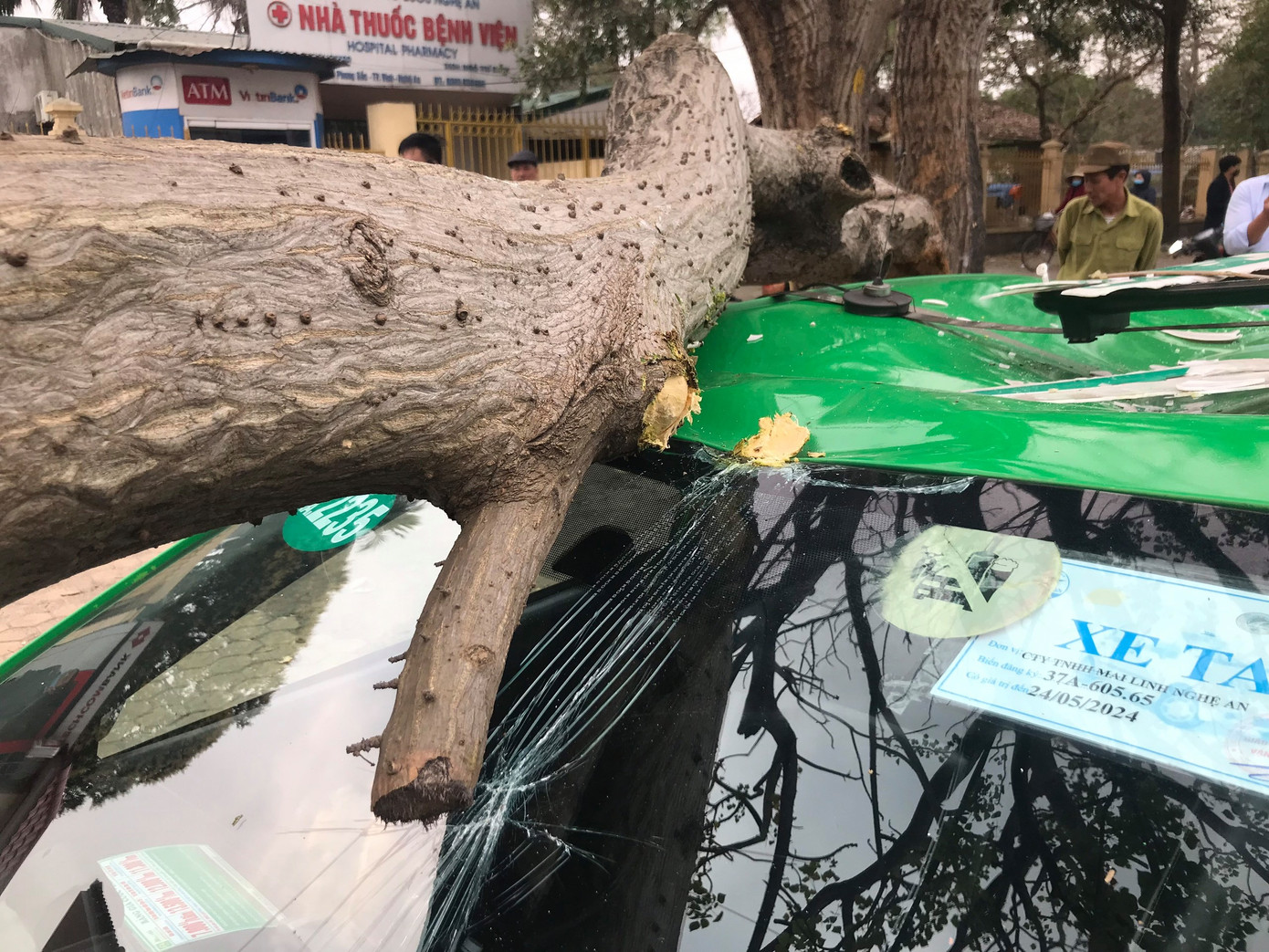 Kinh hoàng cành cây bất ngờ đè bẹp dúm taxi ảnh 1