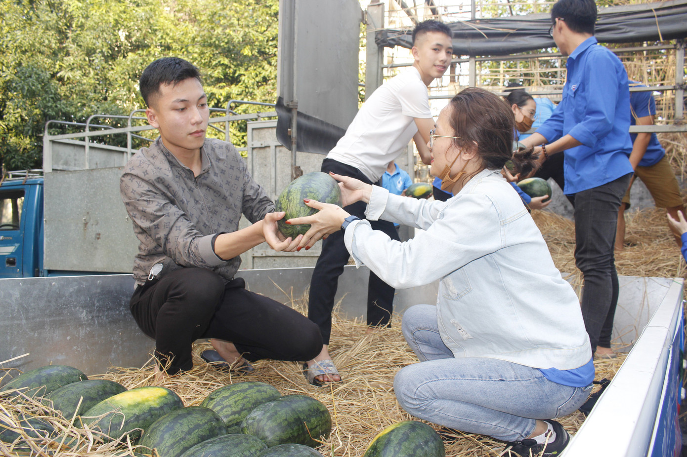 Tuổi trẻ Nghệ An chung tay 'giải cứu' hàng chục tấn dưa hấu ảnh 5