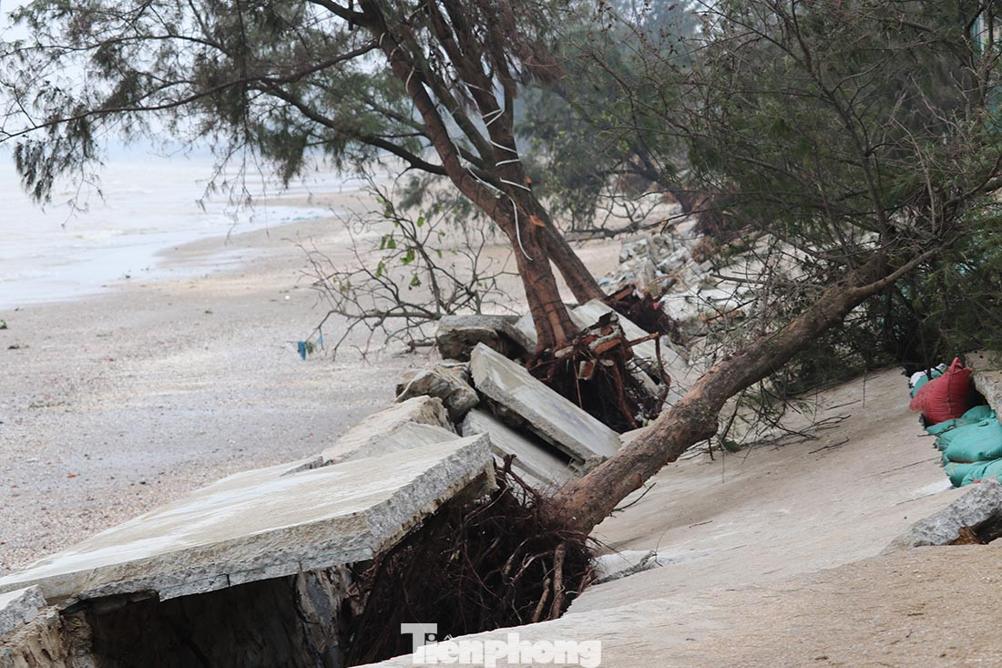 Kè chắn sóng ở Cửa Lò sụt lún vì bão ảnh 8