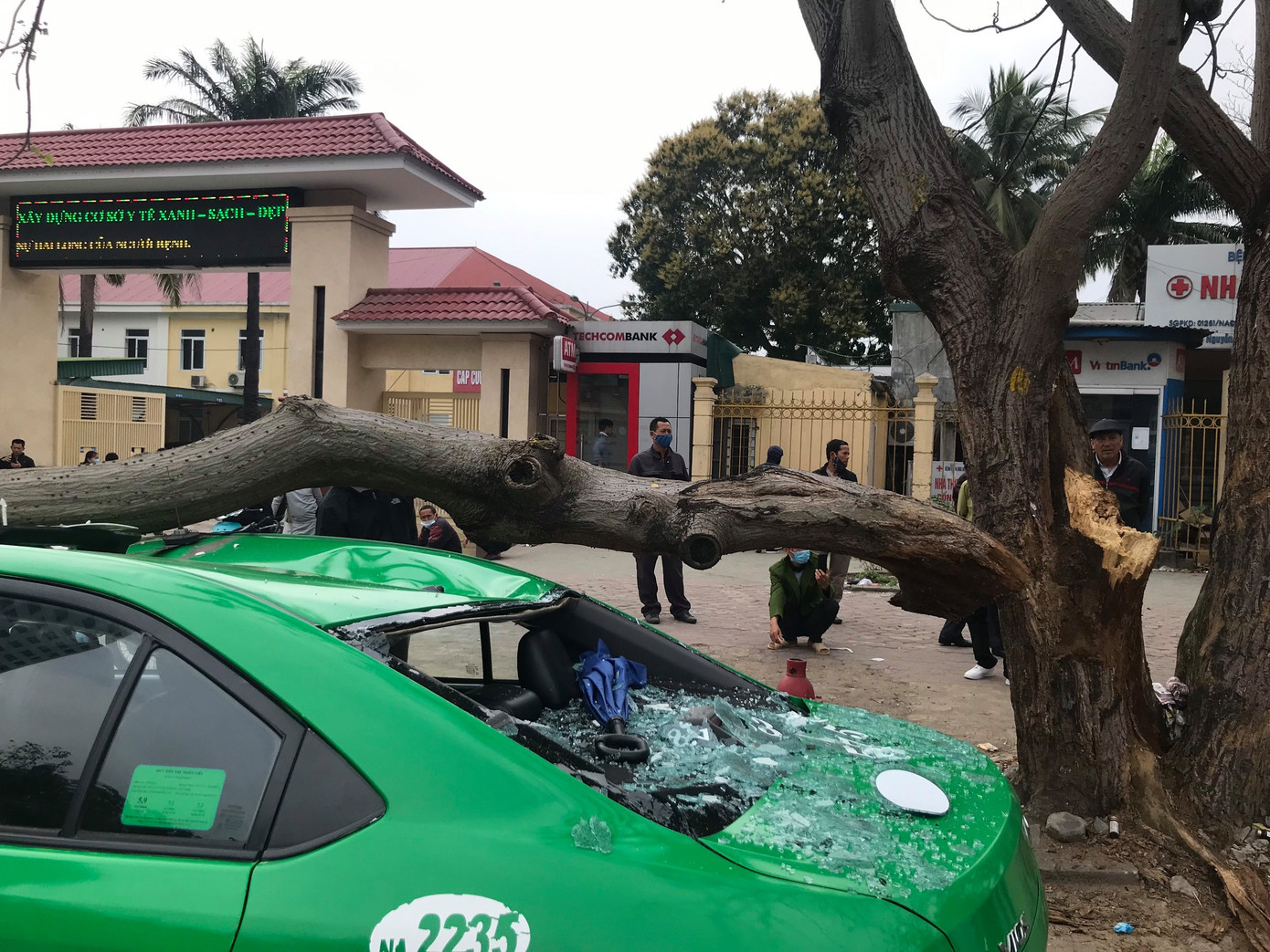 Kinh hoàng cành cây bất ngờ đè bẹp dúm taxi ảnh 4
