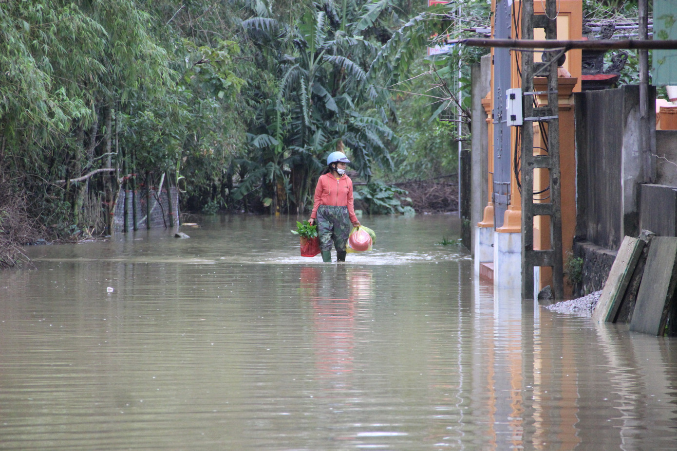 Nước sông Lam dâng cao, Nghệ An ngập lụt trên diện rộng ảnh 7