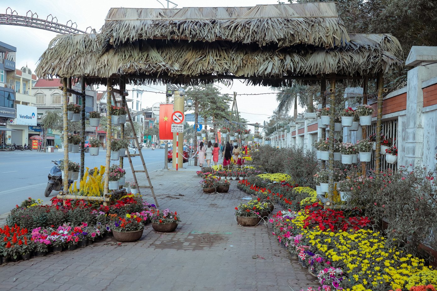 Rực rỡ sắc hoa trên phố đi bộ thành Vinh ngày giáp Tết ảnh 10