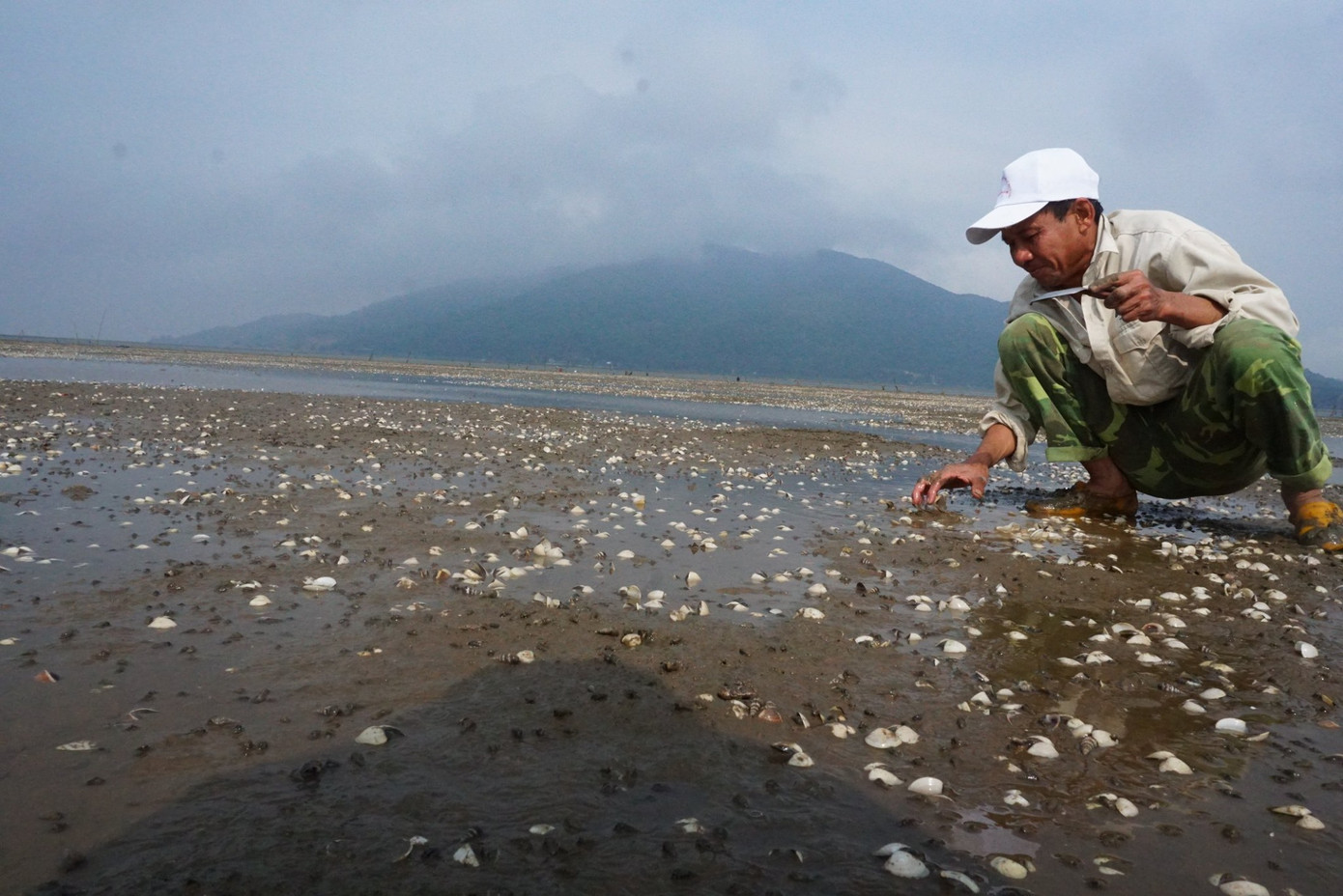 Người dân Hà Tĩnh lao đao vì ngao chết trắng đầm ảnh 7
