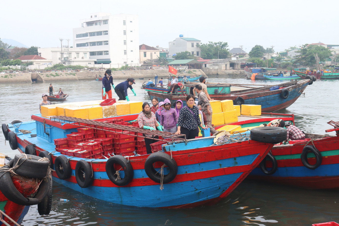 Nhịp sống nơi cảng cá bình yên mỗi chuyến thuyền về cập bến ảnh 2