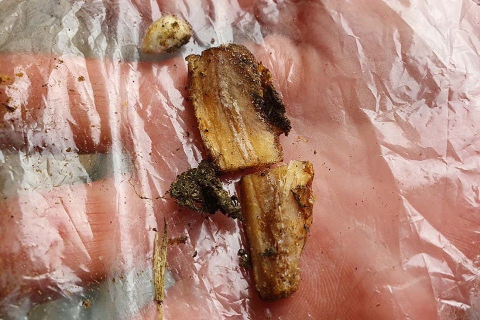 Người dân vây bắt 2 anh em ném bả đầu độc hàng loạt chó mèo ảnh 3