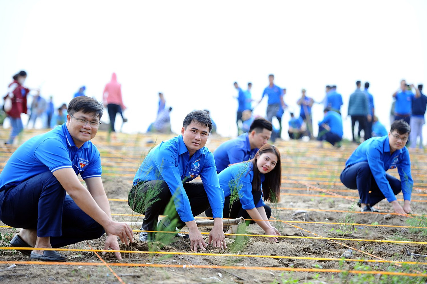 Trung ương đoàn, Tỉnh đoàn Nghệ An ra quân Ngày chủ nhật xanh lần thứ 4 ảnh 4