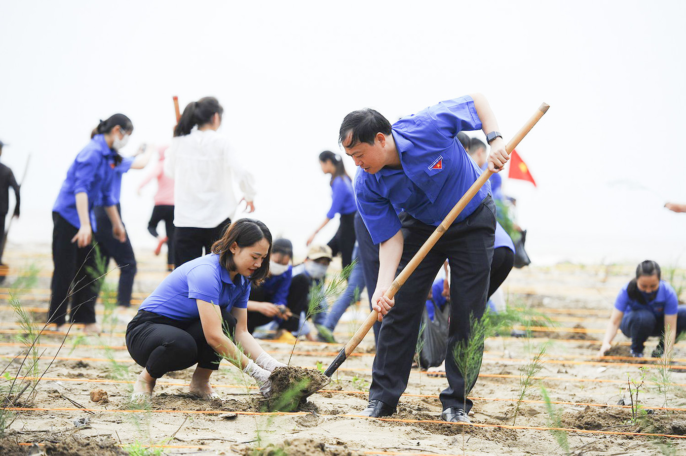 Trung ương đoàn, Tỉnh đoàn Nghệ An ra quân Ngày chủ nhật xanh lần thứ 4 ảnh 11